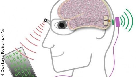 Blindheit Sehbehinderung Elektrostimulation 